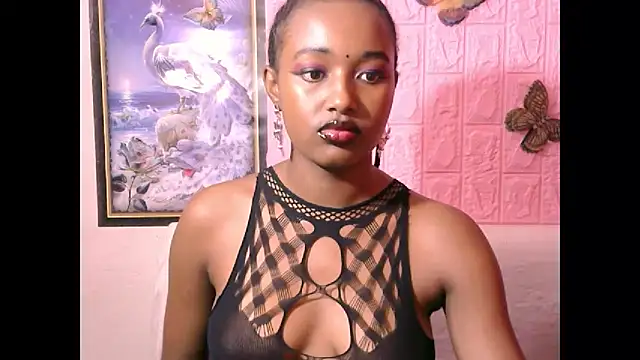 Indiansexydimples online show from 04/16/26, 07:20