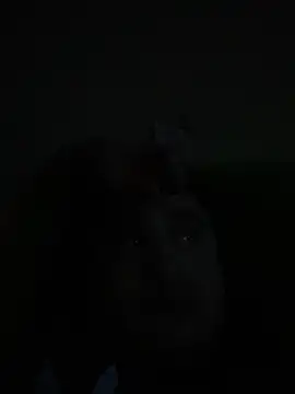 Snapshot of whitsblack chatting on 11/03/25, 11:52 whitsblack online show from 11/03/25, 11:52