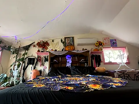 kinkycanner online show from 10/31/25, 09:11