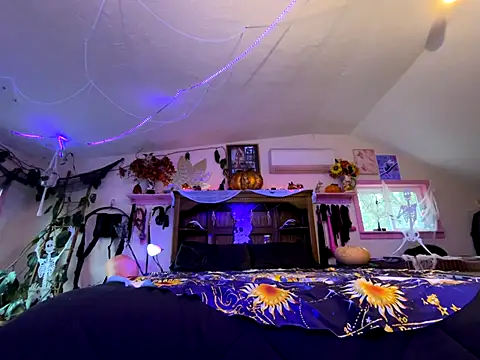 kinkycanner online show from 11/06/25, 12:03