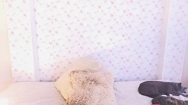 dahiana marin online show from 02/02/26, 07:46