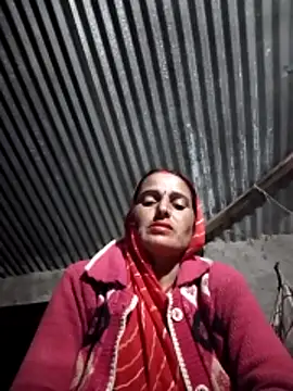 Jalebi bay online show from 11/11/25, 12:44