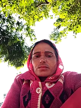 Jalebi bay online show from 11/08/25, 02:15