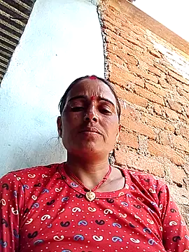 Jalebi bay online show from 09/24/25, 08:54