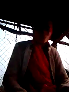 H seema online show from 12/01/25, 12:17