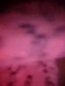 LUCKY cut online show from 11/20/25, 04:18