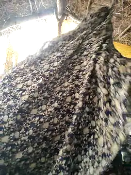 LUCKY cut online show from 10/20/25, 03:08