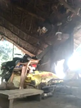 LUCKY cut online show from 11/18/25, 02:27