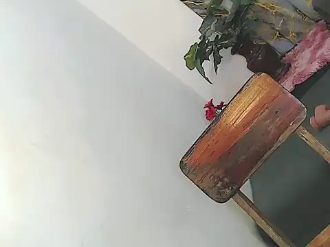 Misskatexx online show from 01/06/26, 06:39