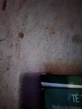  tetas 92 online show from 03/07/26, 01:27