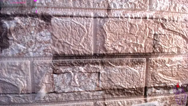 Bicky 24 online show from 03/06/26, 09:26