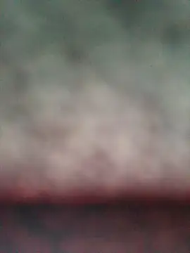 Snapshot of MoniqueMulberry chatting on 11/28/25, 08:09 MoniqueMulberry online show from 11/28/25, 08:09