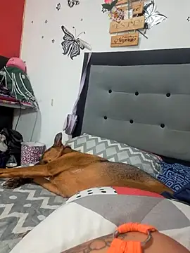 anythompsom online show from 11/11/25, 08:14