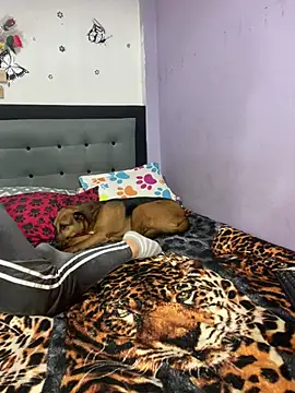 anythompsom online show from 02/05/26, 08:37