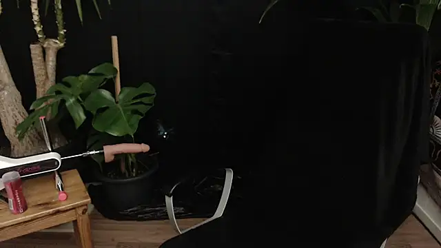 lola skyxh online show from 11/10/25, 11:10