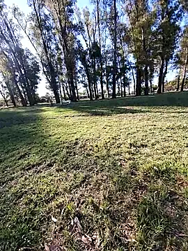 Almendrasexy online show from 10/25/25, 08:53