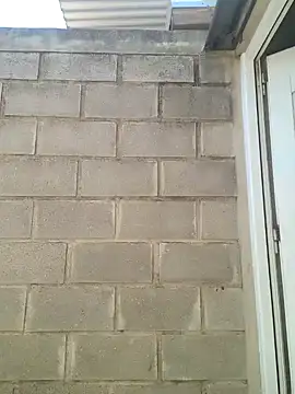 Almendrasexy online show from 10/31/25, 05:09