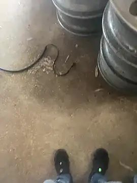 Chico031289 online show from 02/12/26, 06:29