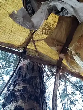 Janvi Jaitly online show from 11/23/25, 01:15