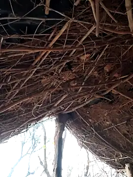 Janvi Jaitly online show from 12/05/25, 01:27