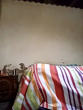 average price online show from 11/12/25, 04:16