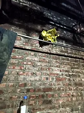 siki-00 online show from 12/16/25, 11:47