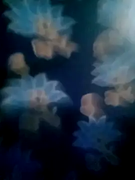 your favourite bhabhi online show from 11/02/25, 01:49