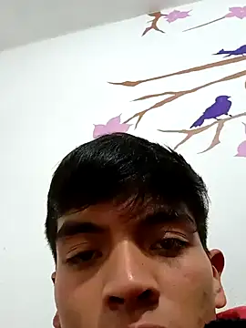 DavidVergagigante420 online show from 11/17/25, 02:59