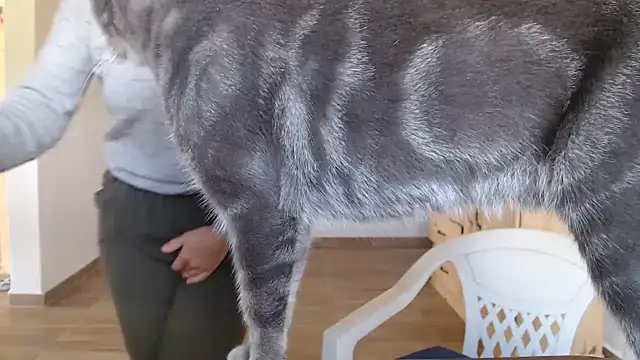 Missforever online show from 03/23/26, 04:51