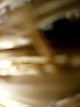 panchosativo online show from 10/31/25, 02:52