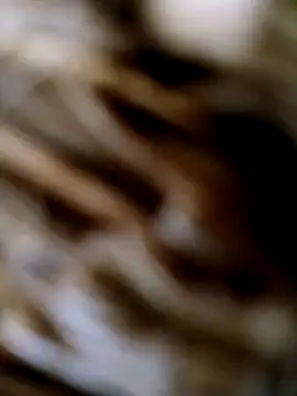 panchosativo online show from 10/25/25, 01:56