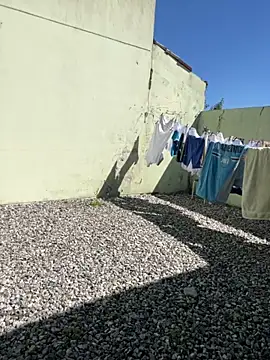 Snapshot of cat9269 chatting on 11/11/25, 06:03 cat9269 online show from 11/11/25, 06:03