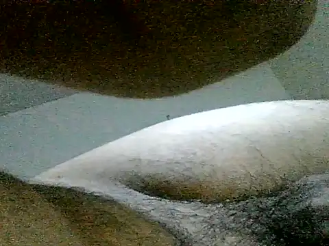 LuispingonX69 online show from 06/23/26, 06:11