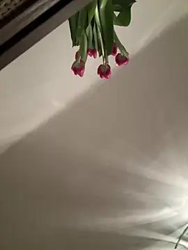 SophiiaStarr online show from 02/07/26, 07:33