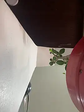 XBODTRIIPX online show from 03/21/26, 04:11