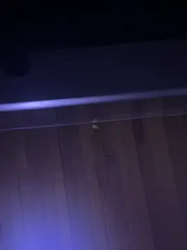 XBODTRIIPX online show from 04/07/26, 11:17