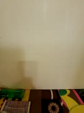 roshankakol online show from 11/19/25, 10:15