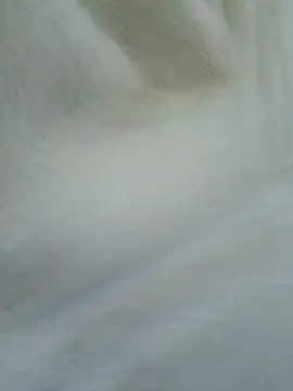 novinho100795 online show from 12/19/25, 12:03