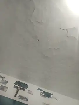 Ferxxxo1503 online show from 12/02/25, 04:58