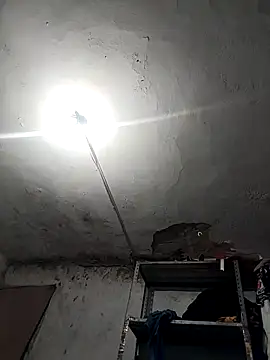 Ferxxxo1503 online show from 11/26/25, 04:23