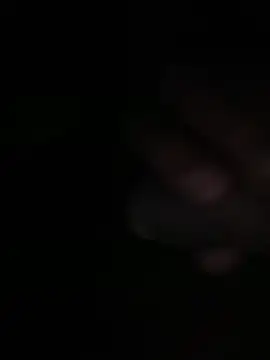 Flash356 online show from 02/24/26, 09:04