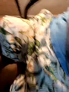 Gallo001 online show from 12/16/25, 11:03