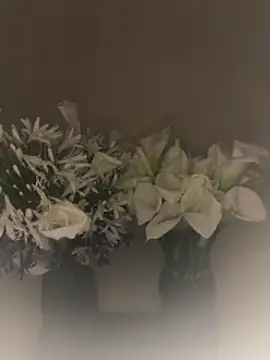 SLNatasha online show from 03/01/26, 03:06