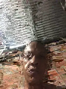 elpeluchenegroxxx3 online show from 03/11/26, 03:22