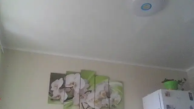 Snapshot of Zhinara chatting on 11/09/25, 09:35 Zhinara online show from 11/09/25, 09:35