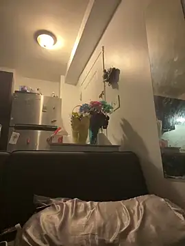 littyleesh1 online show from 04/15/26, 07:25