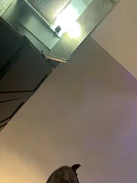 littyleesh1 online show from 03/22/26, 01:12