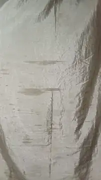 Sweeddickyyy2025 online show from 03/20/26, 07:15