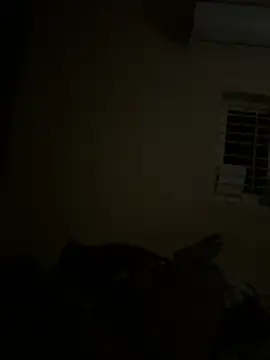 Chaitu-teluguhot online show from 02/27/26, 07:03