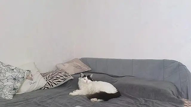 Annabel theMoon online show from 06/02/26, 03:17